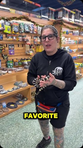 Video post from njexoticpets.