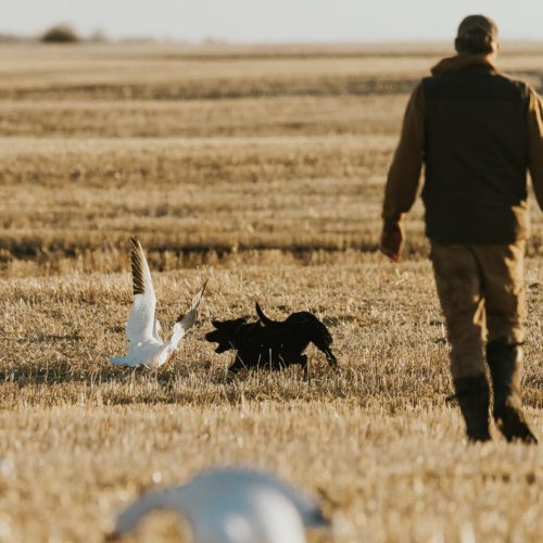 Photo post from northernskiesoutfitters.