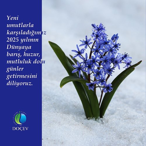 Photo post from dogavecevrevakfi.