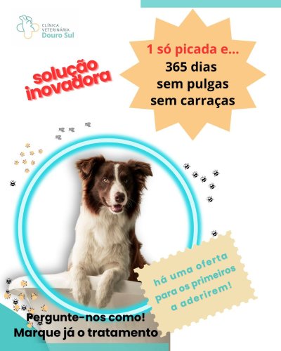 Photo post from clinica_veterinaria_dourosul.