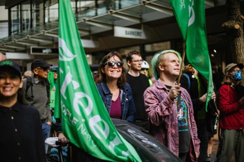 Carousel post from nzgreenparty.