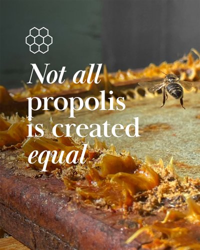 Carousel post from comvita_au.