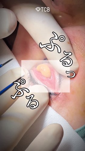 Video post from tcbdaisuke_shorei.