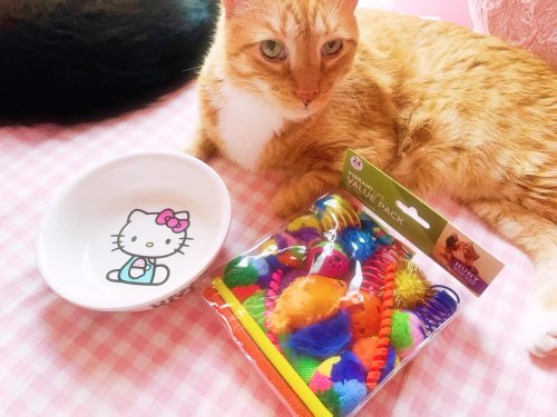 Carousel post from margaritabloom.