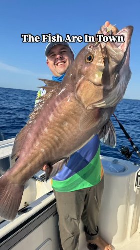 Video post from ejs_fishing_charters.