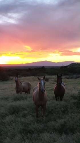 Video post from visittucson.