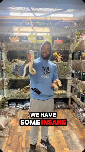 Video post from njexoticpets.
