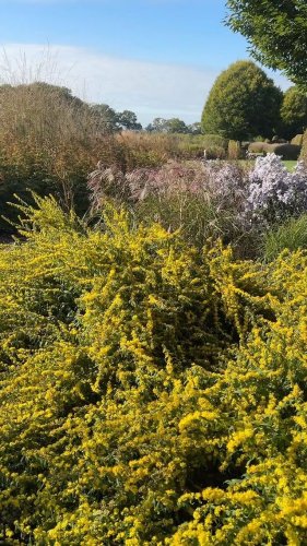 Video post from sussexprairies.