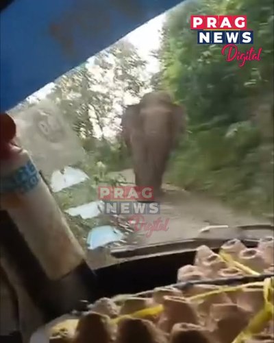 Video post from pragnewsofficial.