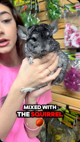 Video post from njexoticpets.