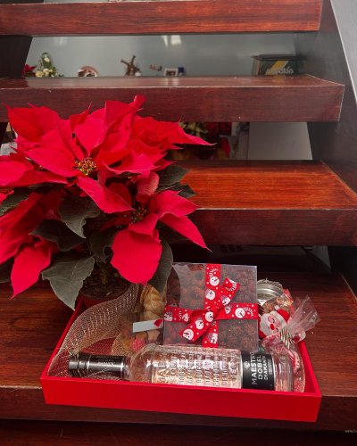 Photo post from la_gifteria.