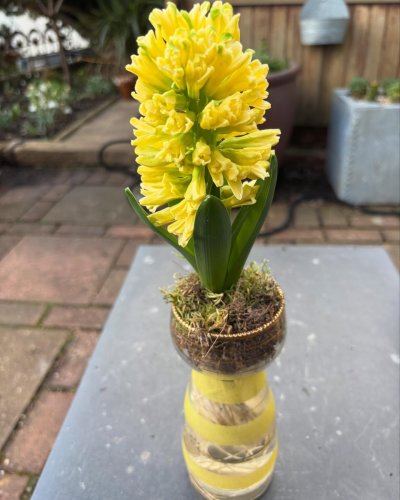 Photo post from gardenhousebrighton.