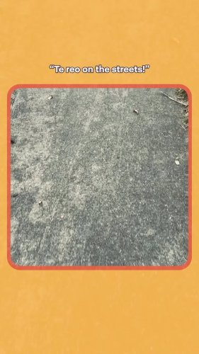 Video post from reomaori.