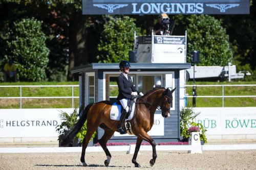 Photo post from fei_global.