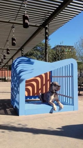 Video post from pflugerarchitects.