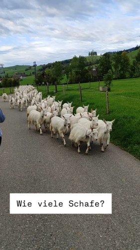 Video post from gipfelbuch.online.