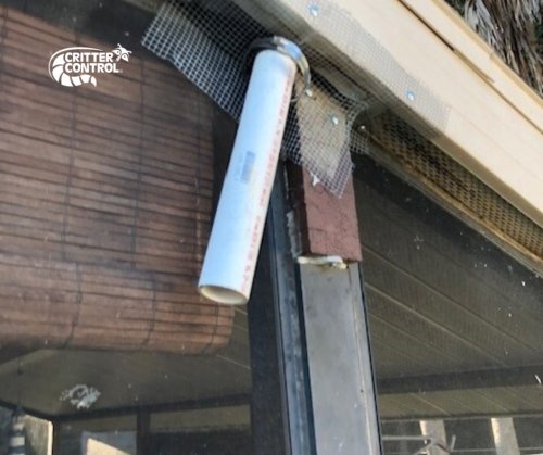 Carousel post from crittercontrolofficial.
