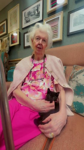 Carousel post from Ellesmere House Care Home.