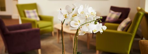 Photo post from Ellesmere House Care Home.