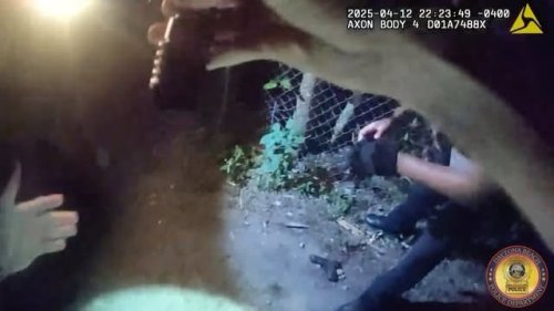 Video post from daytonabeachpolice.