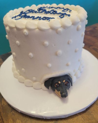 Photo post from smallcakestyler.