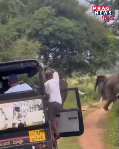 Video post from pragnewsofficial.