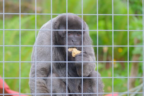 Carousel post from scott.parry.associates.