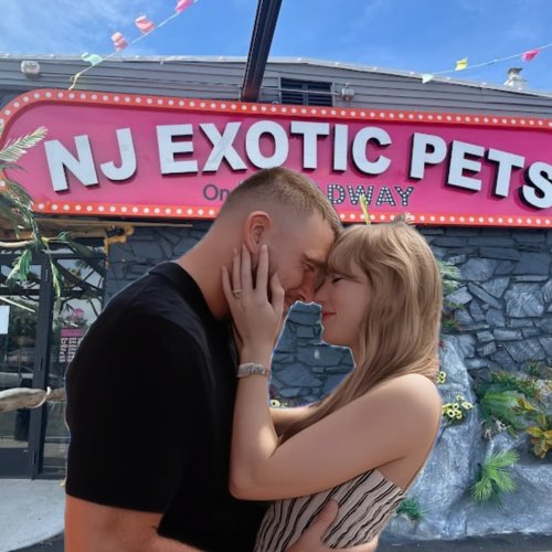 Photo post from njexoticpets.