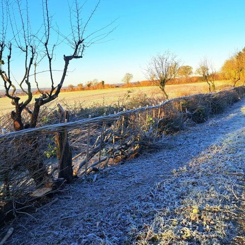 Photo post from crowmarshbattlefarms.