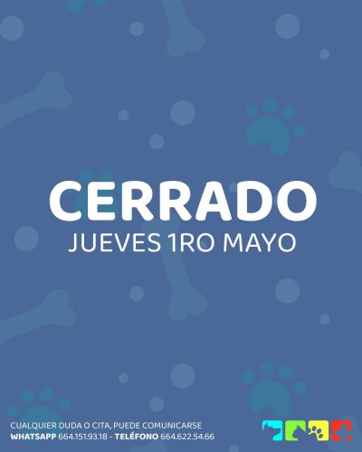 Photo post from medicalpettj.