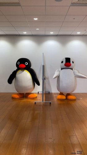 Video post from pingu_jp.