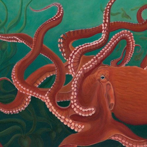 Carousel post from finnriver.