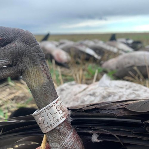 Photo post from northernskiesoutfitters.