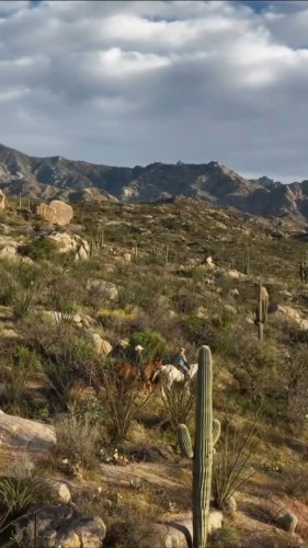 Video post from visittucson.