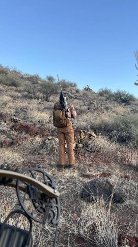 Video post from desertkingsfalconry.