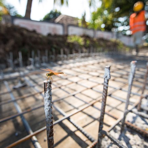 Photo post from unops_official.