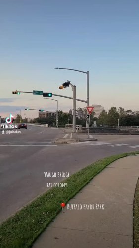 Video post from julsdun.