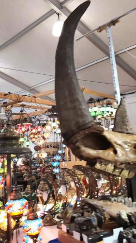 Video post from visittucson.