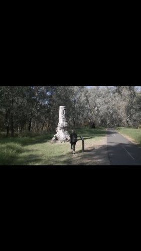 Video post from visitalburywodonga.