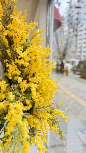 Video post from ftcbeauty.staff.