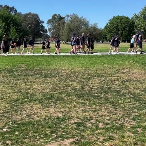 Video post from alburycity.
