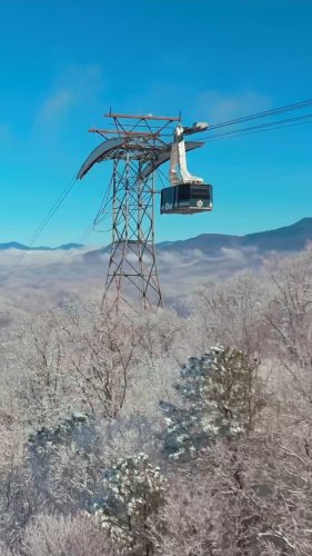 Video post from obermountain.