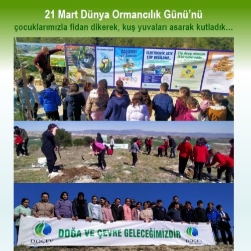 Photo post from dogavecevrevakfi.