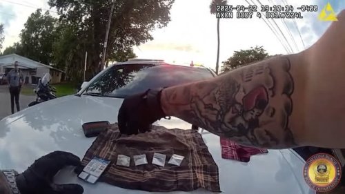 Video post from daytonabeachpolice.
