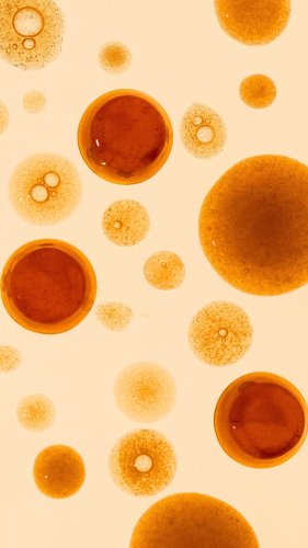 Video post from comvita_au.