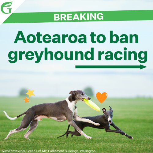 Carousel post from nzgreenparty.