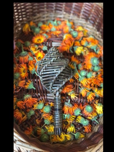 Photo post from finnriver.