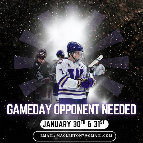Photo post from uw_icehockey.