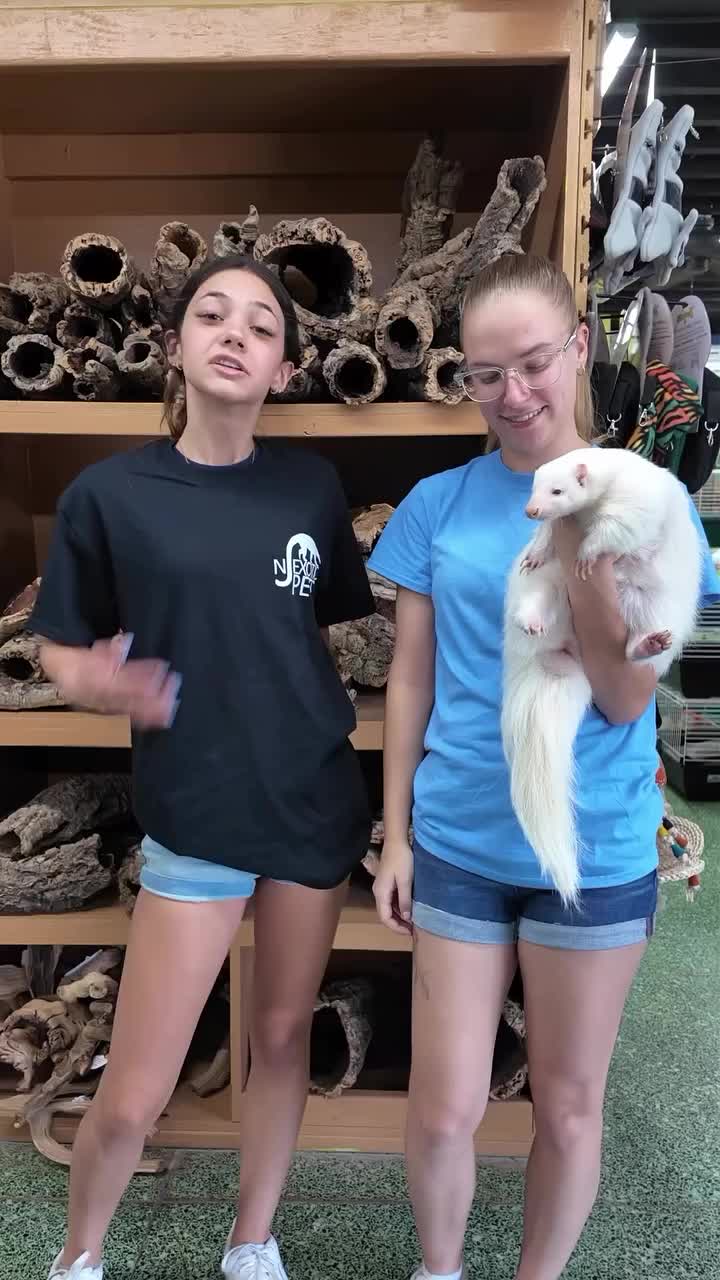 Video post from njexoticpets.