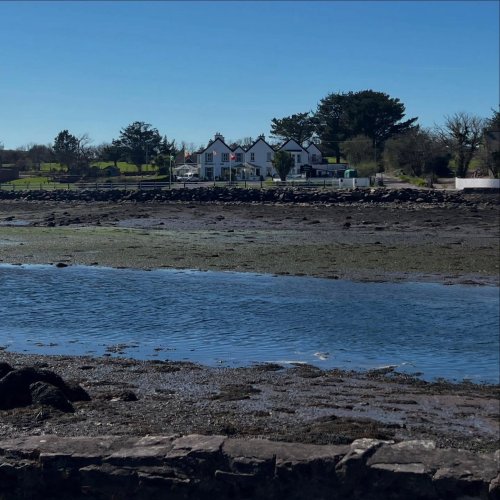 Photo post from dinglepeninsulatourism.